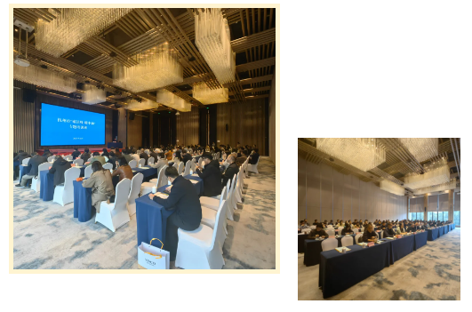 1761187529303232.png bebab5c8-482e-43c0-9fcb-3f7279ef64c9.png